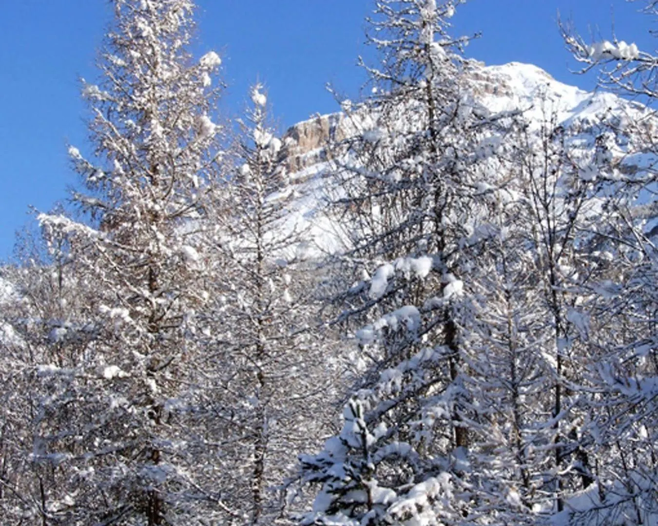 Hotel Les Ecrins D'Azur à Vallouise-Pelvoux